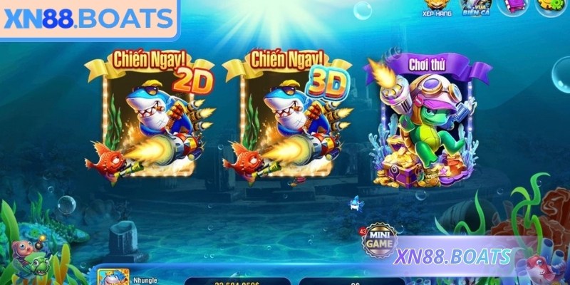 Quan sát nhịp xuất hiện sinh vật áp dụng chiến lược hiệu quả