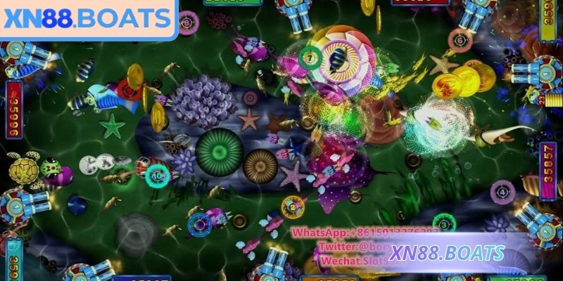 Mục tiêu hiếm xuất hiện giới hạn mang điểm thưởng cao